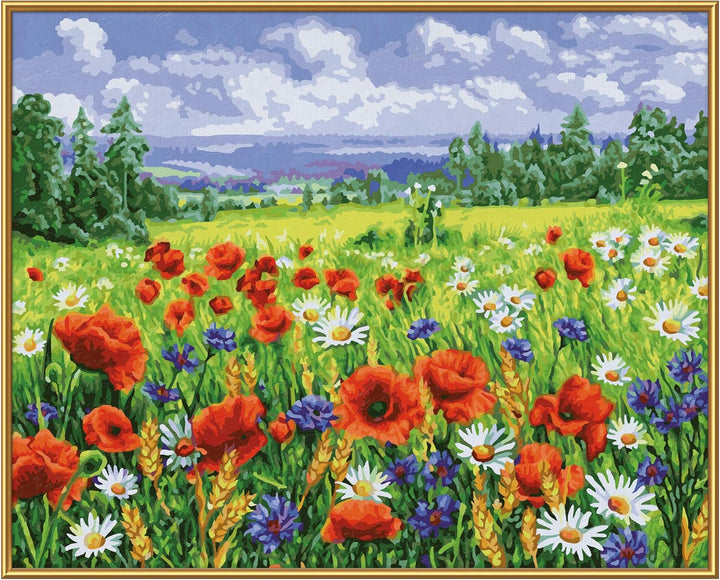 Schipper 609130824 Malen nach Zahlen - Blumenwiese - Bilder malen für Erwachsene, inklusive Pinsel u