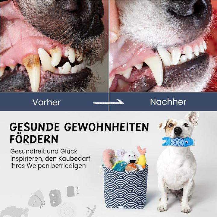 Nocciola Sushi-Hundespielzeug für kleine bis mittelgrosse Hunde, niedliches Plüschspielzeug mit Tasc