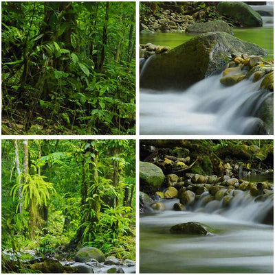 Bilder auf Leinwand 100x70cm Leinwandbild mit Rahmen Stream Wald Natur Gross Wanddeko Bild Schlafzim