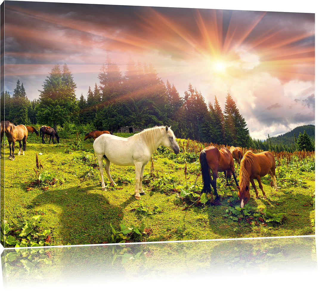Pixxprint Mustangs Pferde auf den Bergen als Leinwandbild/Grösse: 100x70 cm/Wandbild/Kunstdruck/fert