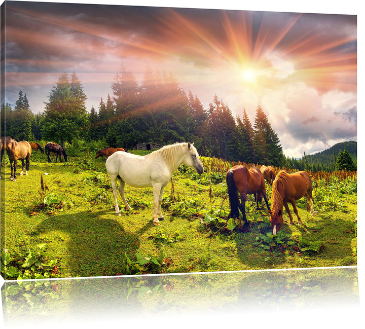 Pixxprint Mustangs Pferde auf den Bergen als Leinwandbild/Grösse: 100x70 cm/Wandbild/Kunstdruck/fert