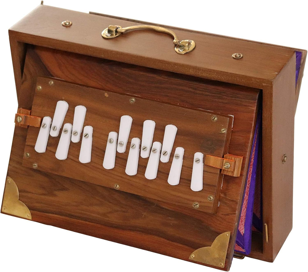 Shruti Box Raga, professionelles Modell, aus Teak-Holz, C-Tonleiter (c3 bis c4), 30 x 22 x 8,5 cm, G