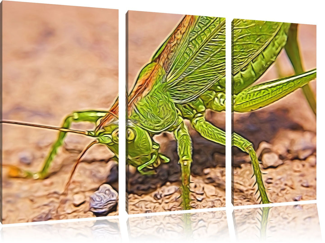 schöne Heuschrecke NewArt 3-Teiler Leinwandbild 120x80 Bild auf Leinwand, XXL riesige Bilder fertig