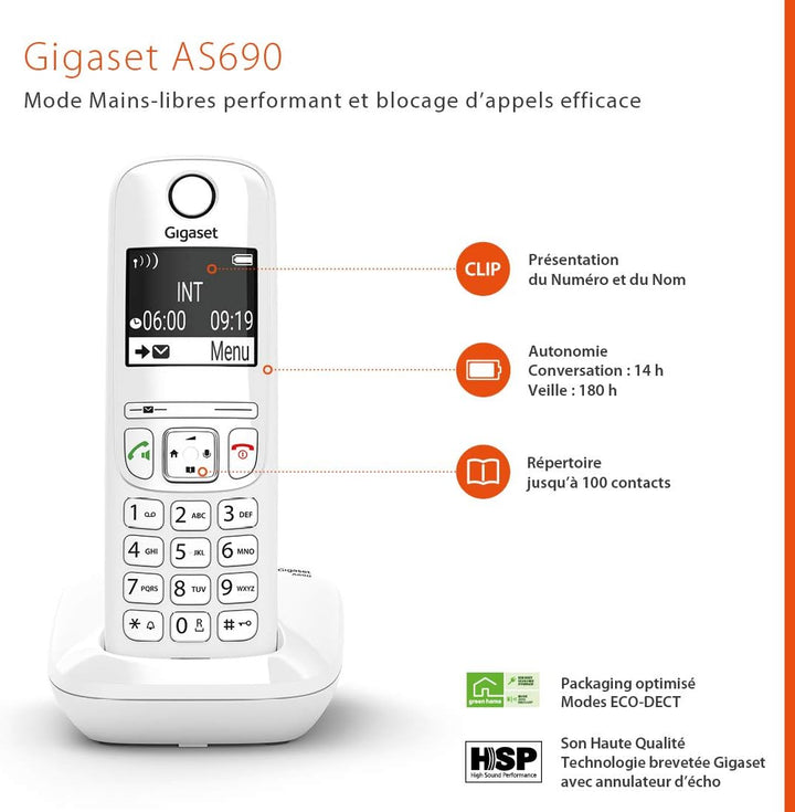 Gigaset AS690 DUO [Französische Version]