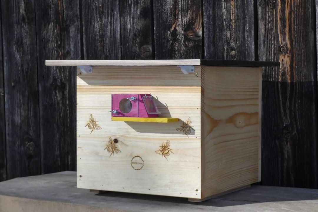 Premium Hummelkasten mit Wachsmottensperre, 2X Sichtfenster und Nistmaterial Wetterfest Bienenhaus H