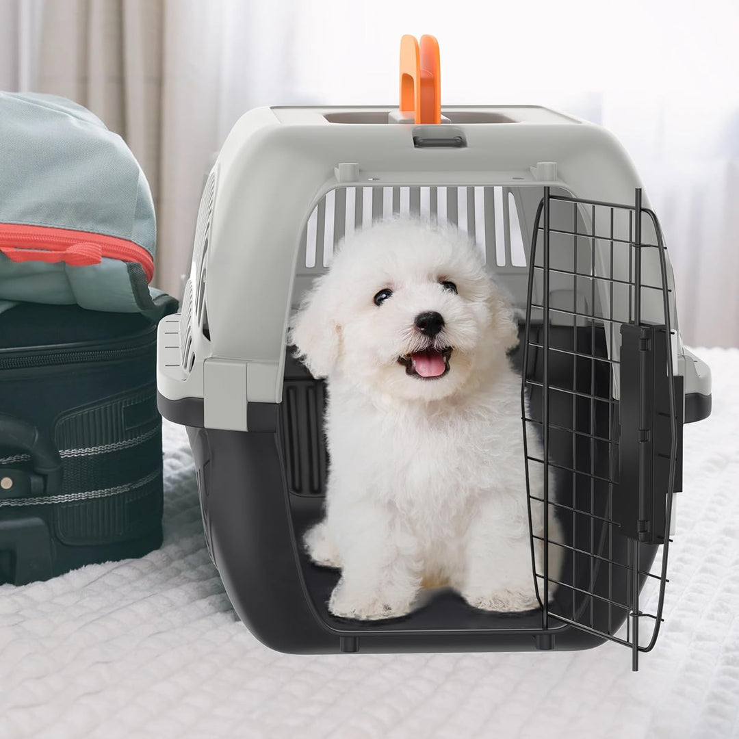 Aufun Hundetransportbox aus Kunststoff mit Metallgitter 48 x 32 x 32cm, Transportbox für kleine Hund