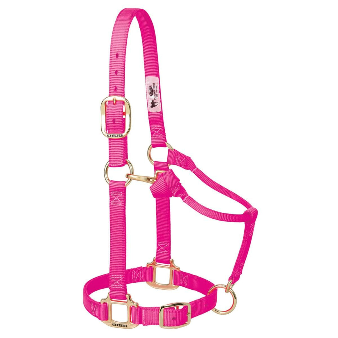 Weaver Leather Original verstellbares Nylonhalfter für Pferde Average horse Diva Pink, Average horse