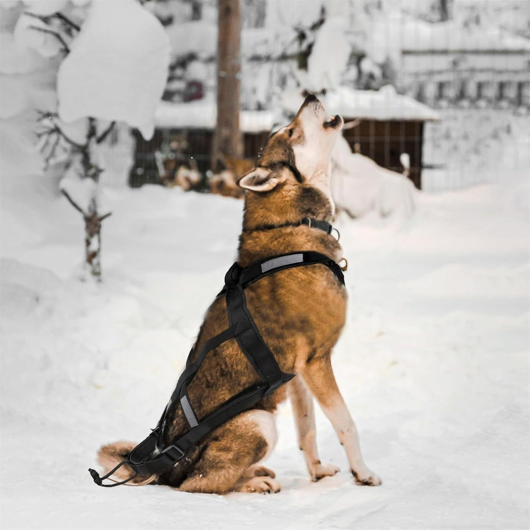Zuggeschirr für Hunde, Ultra-Robust & Reflektierend, Aktivgurt für Schlittenhunde Sport Training, Ko