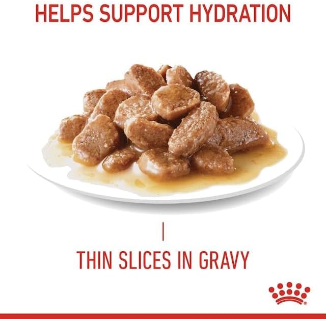 Royal Canin Urinary Care Gravy | Doppelpack | 2 x 12 x 85 g | Kleine Stückchen in Sosse | Zur Förder