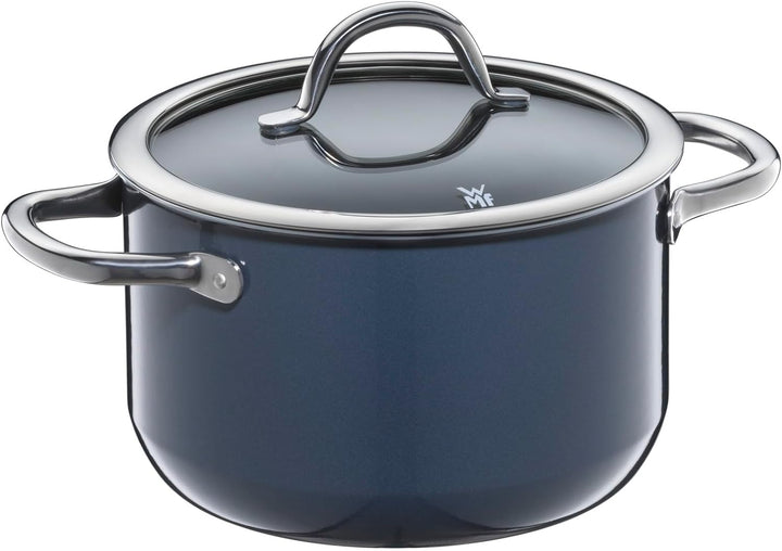 WMF Fusiontec Inspire Kochtopf gross, 20 cm, Glasdeckel, Fleischtopf Induktion, 3,7l, High-Tech Kera