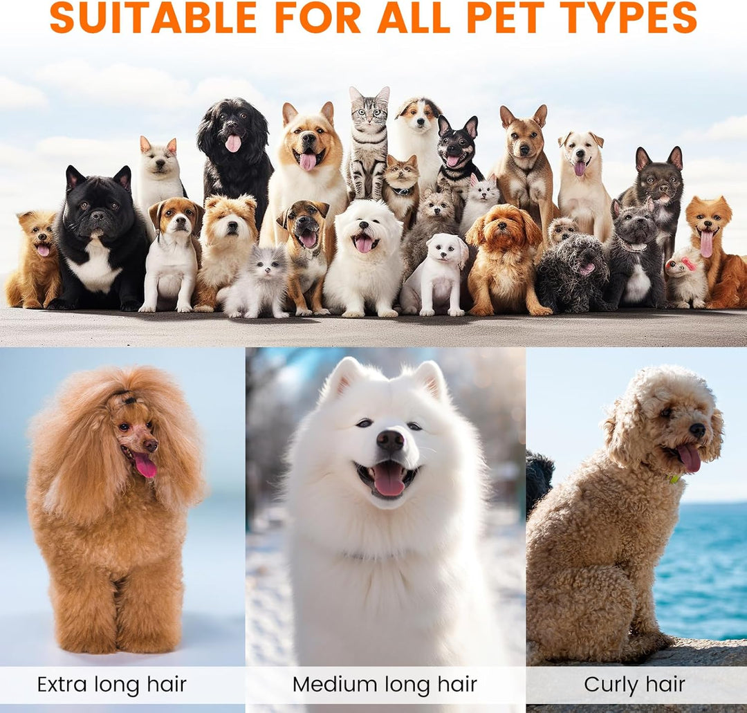 Hundepflege Vakuum Saug 99% Tierhaare PG10 Hundeschermaschine mit Staubsauger 12000 Pa, Hundebürste