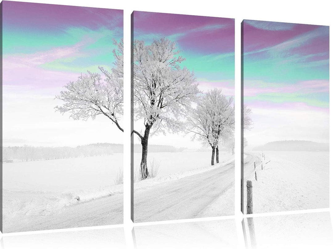 Schneebedeckter Baum in schöner Winterlandschaft schwarz/weiss 3-Teiler Leinwandbild 120x80 Bild auf