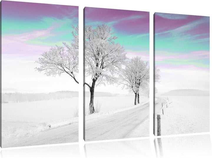 Schneebedeckter Baum in schöner Winterlandschaft schwarz/weiss 3-Teiler Leinwandbild 120x80 Bild auf