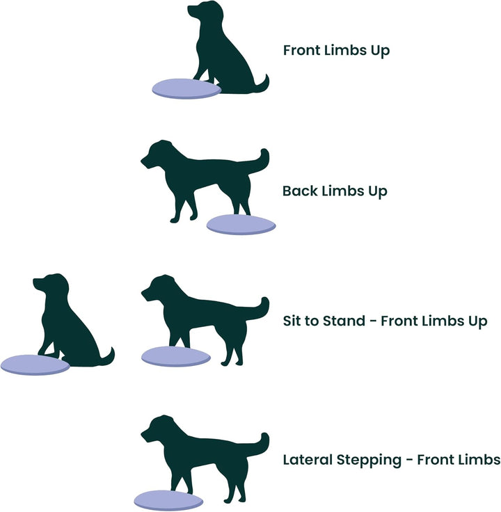 Ball Dynamics FPAWSBD 22 FitPAWS Balance Scheibe, 56 cm, blau