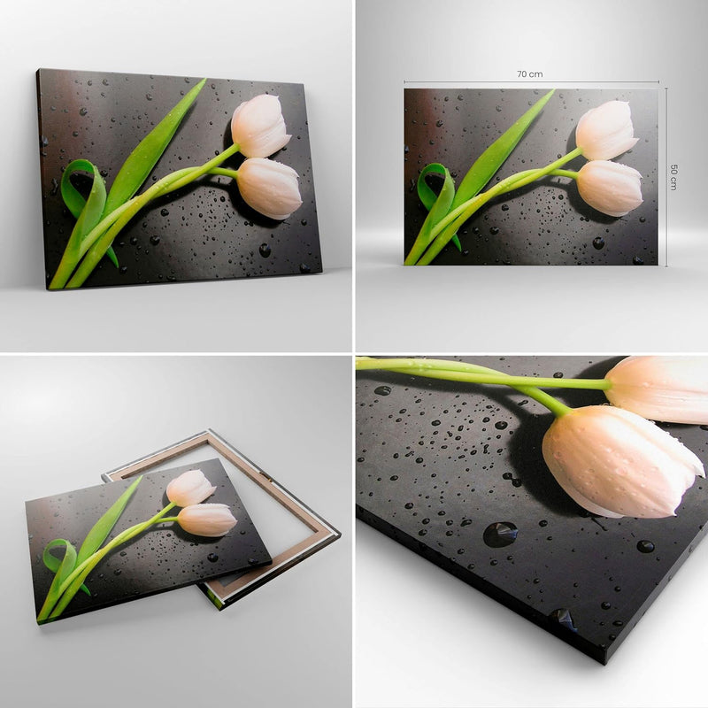 Bilder auf Leinwand Tulpen Blume Pflanzung Pflanze Leinwandbild 70x50cm Wandbilder Dekoration Wohnzi