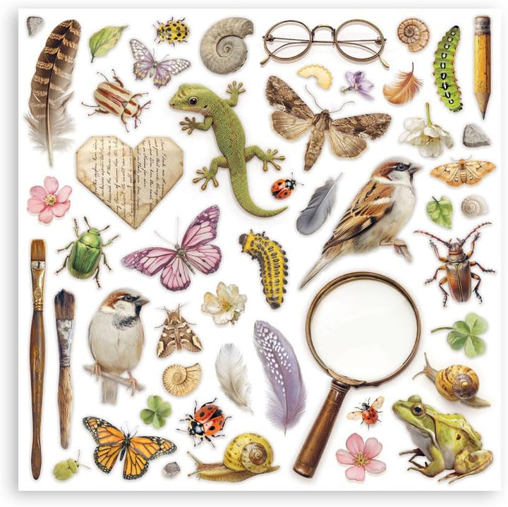 Stamperia - Scrapbook Paper Pad for Scrapbooks, Albums, Cards, Bullet Journals and More, Acid Free,