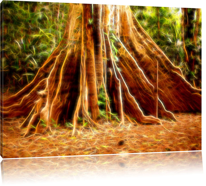 Mächtiger Urwald Baum Deluxe Format: 100x70 cm auf Leinwand, XXL riesige Bilder fertig gerahmt mit K