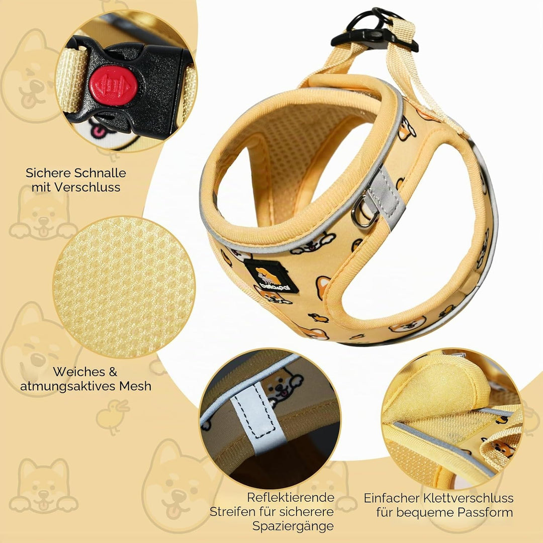 BELLA &amp; PAL Hundegeschirr Kleine Hunde mit Leine, Step-in Geschirr aus Air Mesh, Anti Zug Reflektier