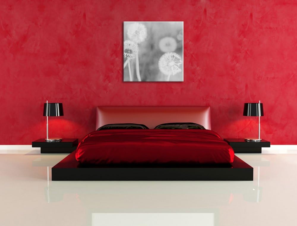 Pixxprint Romantische Pusteblumen Schwarz/Weiss, Format: 70x70 auf Leinwand, 70x70