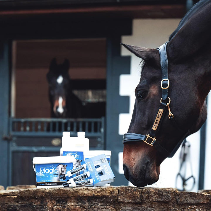 NAF Equine Equine 5032410016819 Magic 5 Star flüssig - 1 L klar 1 l, klar 1 l