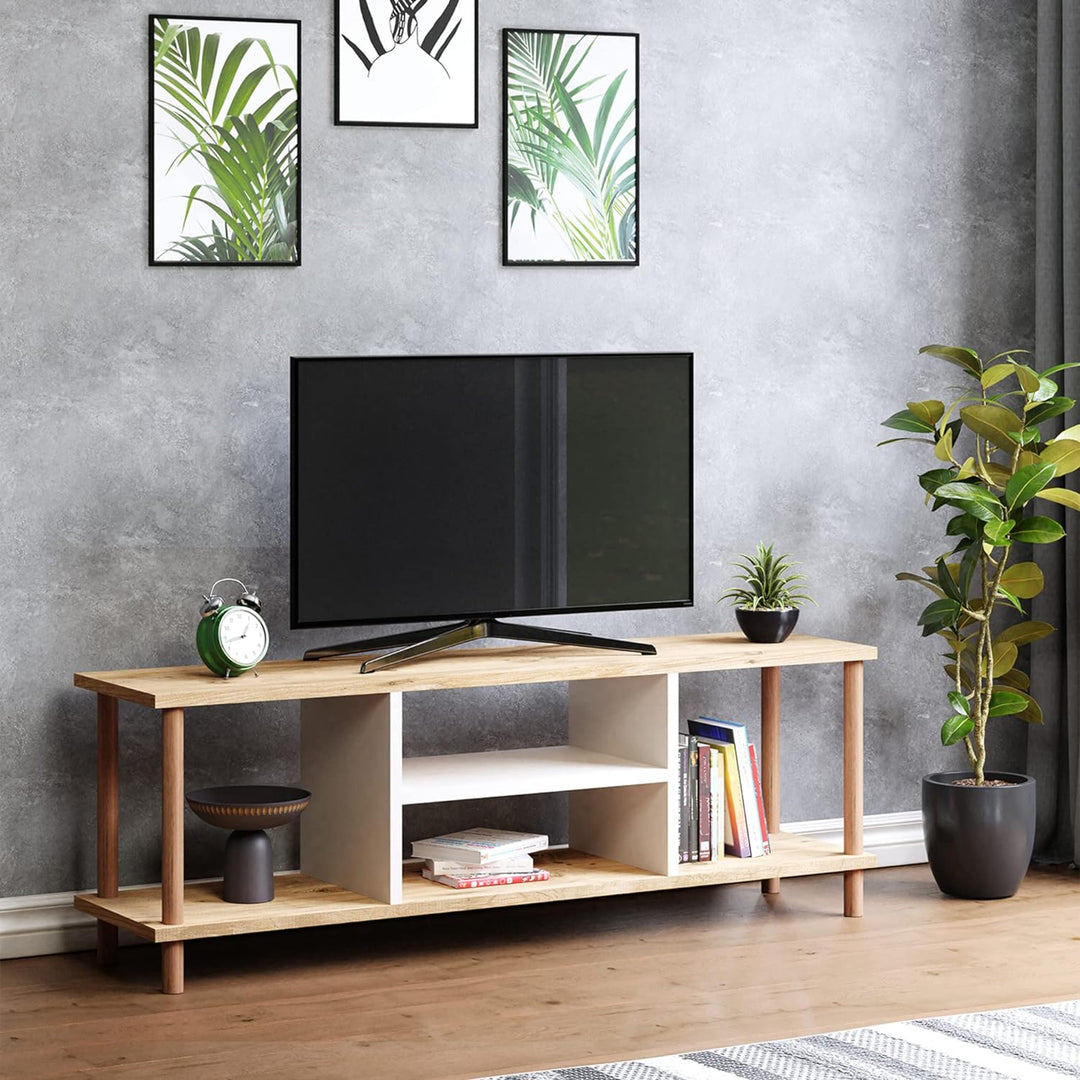 [en.casa] TV Schrank Ærøskøbing mit 2 Ablagefächern TV Bank 43 x 120 x 29 cm Fernsehtisch mit 2 Stau