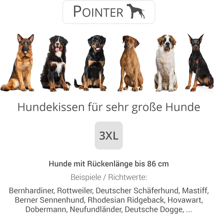 Doctor Bark Pointer | Hundekissen Urban - orthopädisch, waschbar, robust, bequem (XXXL - 90x80 cm, H