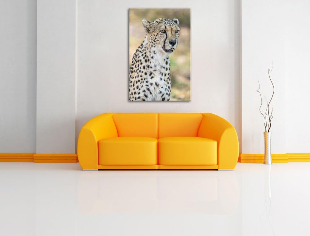 Pixxprint ausgewachsener Gepard auf Leinwand, XXL riesige Bilder fertig gerahmt mit Keilrahmen, Kuns
