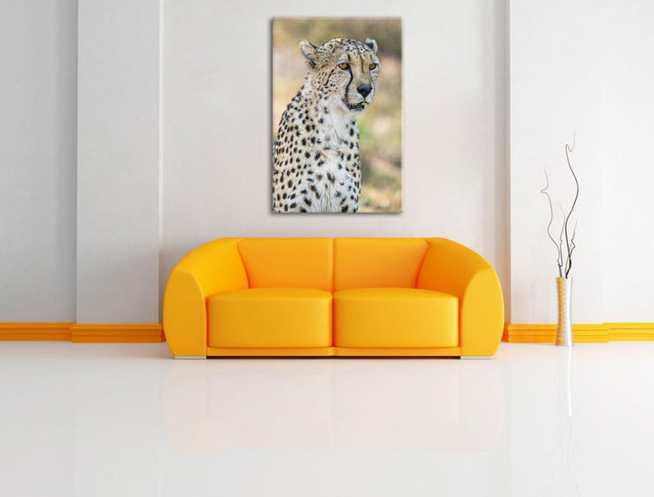 Pixxprint ausgewachsener Gepard auf Leinwand, XXL riesige Bilder fertig gerahmt mit Keilrahmen, Kuns