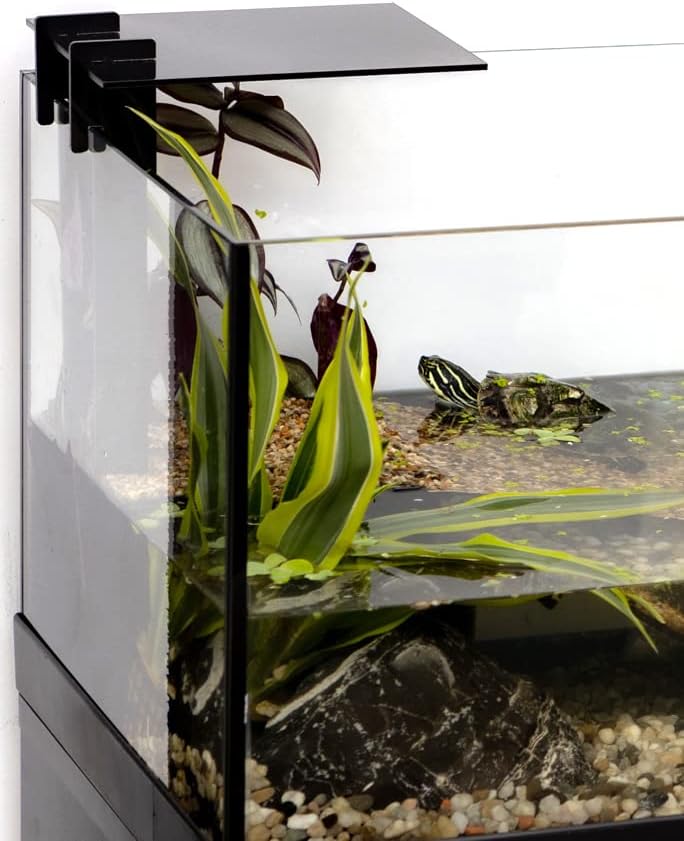 Aquaterrarium 60 schwarz 60 x 30 x 20.5 cm (Pack of 1), schwarz 60 x 30 x 20.5 cm (Pack of 1)