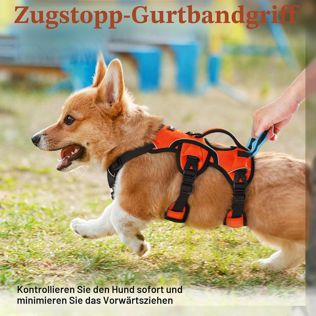 rabbitgoo Ausbruchsichere Hundegeschirr Kleine Hunde mit Griff, Anti Zug Sicherheitsgeschirr Hund At