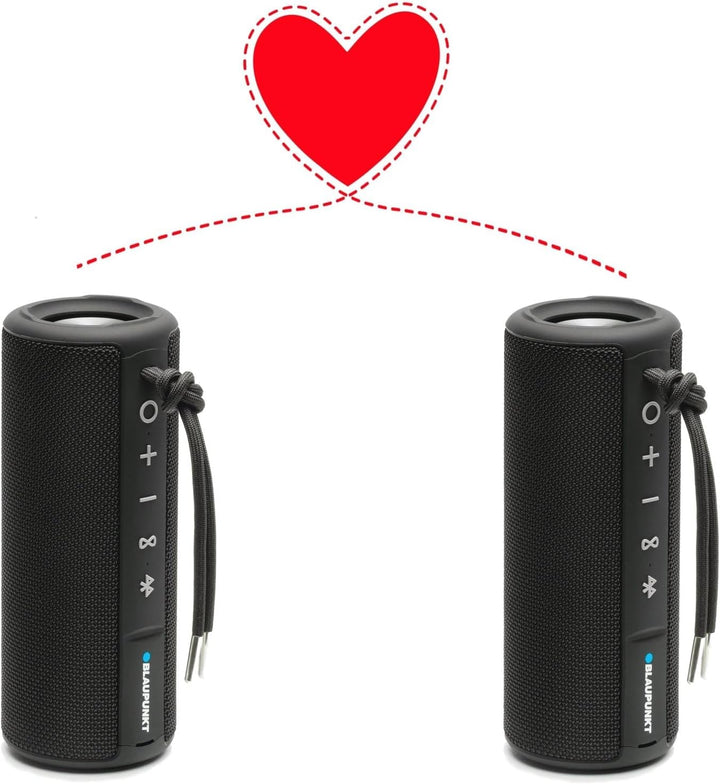 Blaupunkt BT 214 Bluetooth Lautsprecher, tragbar, kabellos, 10h Akkulaufzeit, Bluetooth 5.0, AUX, Fr