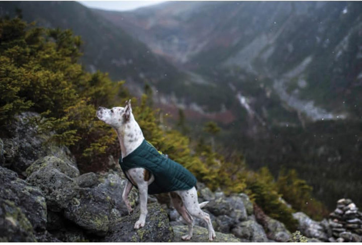 Kurgo Loft Hundejacke, Mit Hundegeschirr kombinierbar, Wasserdicht und reflektierend, Ideal für den
