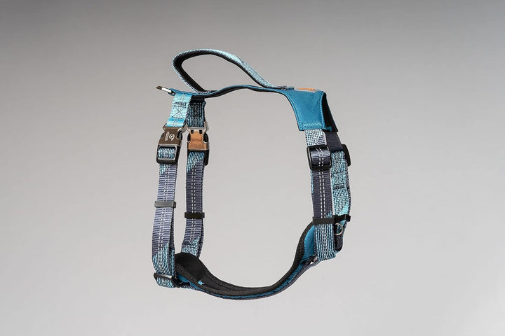 MICHUR Bruno Hunde BRUSTGESCHIRR Blau, Nylon Hundegeschirr, Neopren Polsterung, Schnell-klick-Schnal