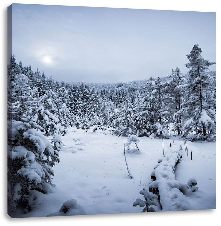 Pixxprint Winterlandschaft vereister See/Format: 70x70cm / Leinwandbild fertig bespannt Wandbild Kun