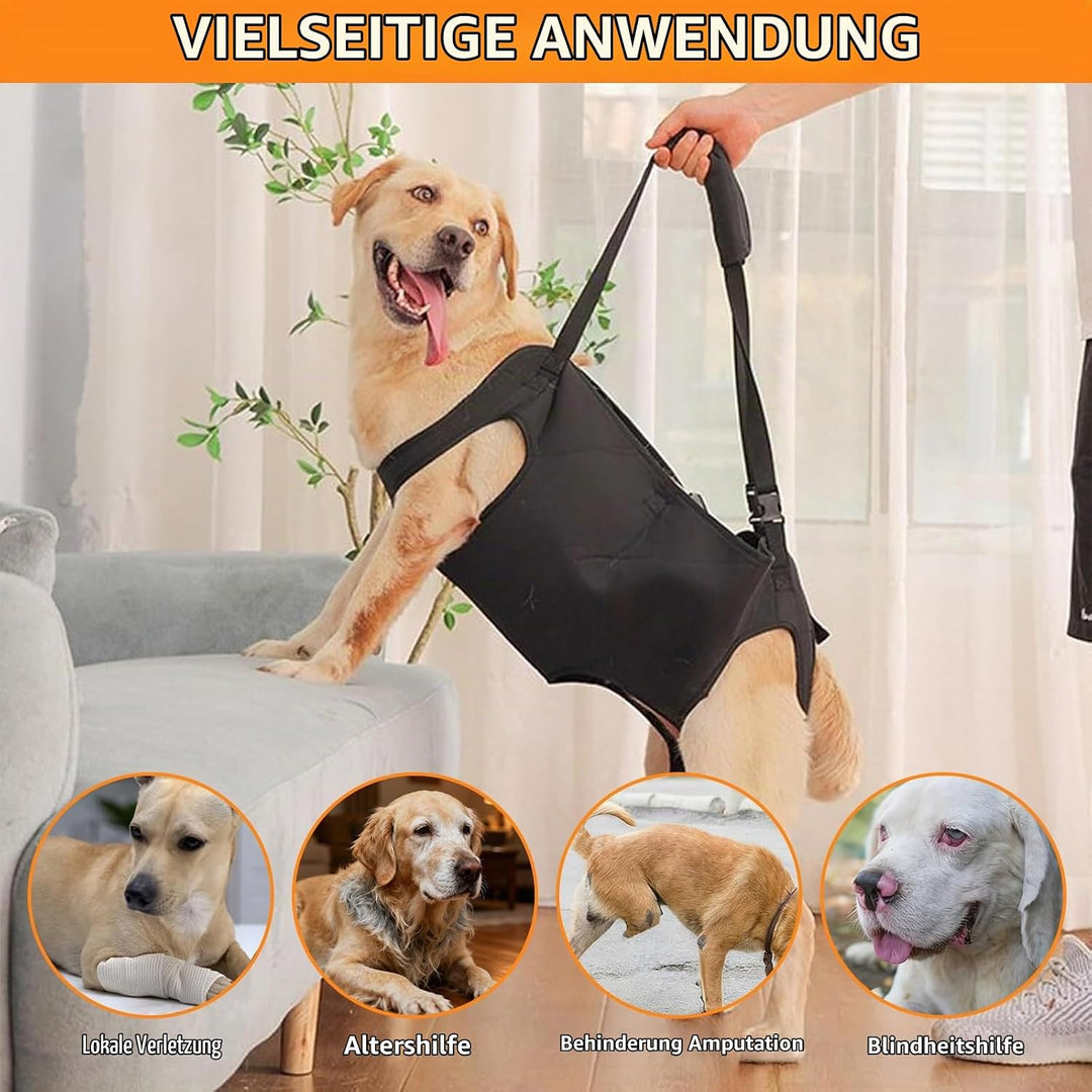 YOUNGSAY Tragehilfe Hund, Verstellbare Tragegurt Hund, Gross Hunde Tragehilfe für Behinderte, Blindh