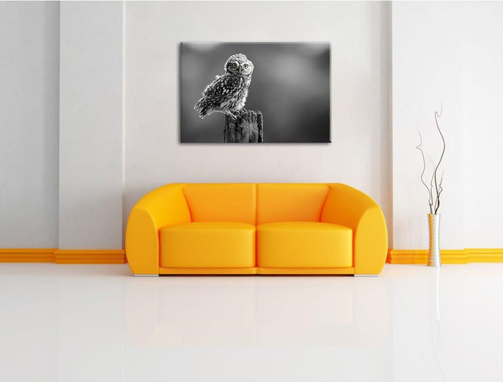 lustige Eule auf Baumstumpf schwarz/weiss Format: 100x70 auf Leinwand, XXL riesige Bilder fertig ger