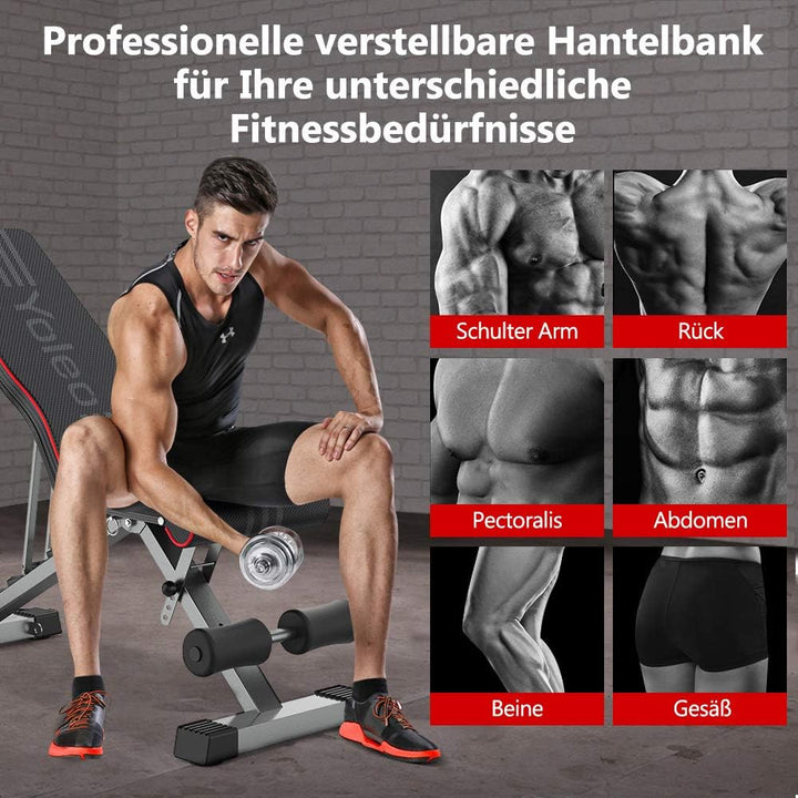 YOLEO klappbare Hantelbank Multifunktion Training Fitness Bank Bauchtrainer Schrägbank mit 6-Fach Ve