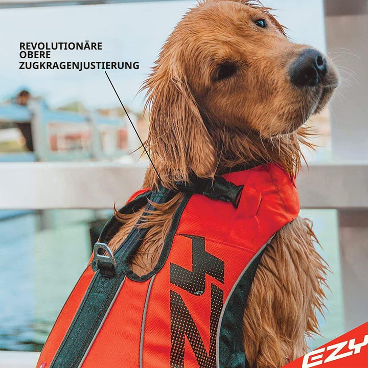 EZYDOG X2 Boost Schwimmweste | Bootfahren, hundefreundlich, Paddelbrett, überlegener Auftrieb, Rettu