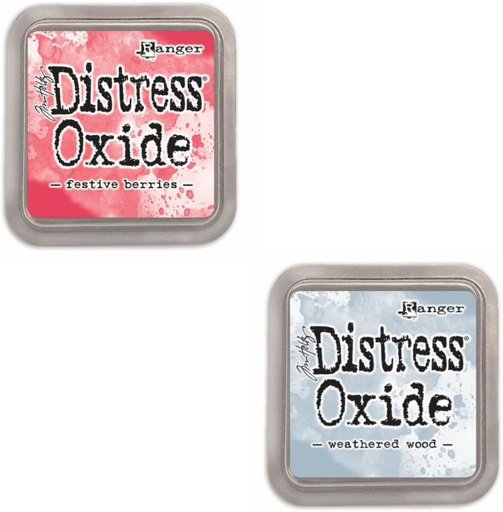 Kit mit 12 Pigment Fusion Tinte und Füller Tampon | Matt Effect Finish | Ranger Distress Oxide - Ent