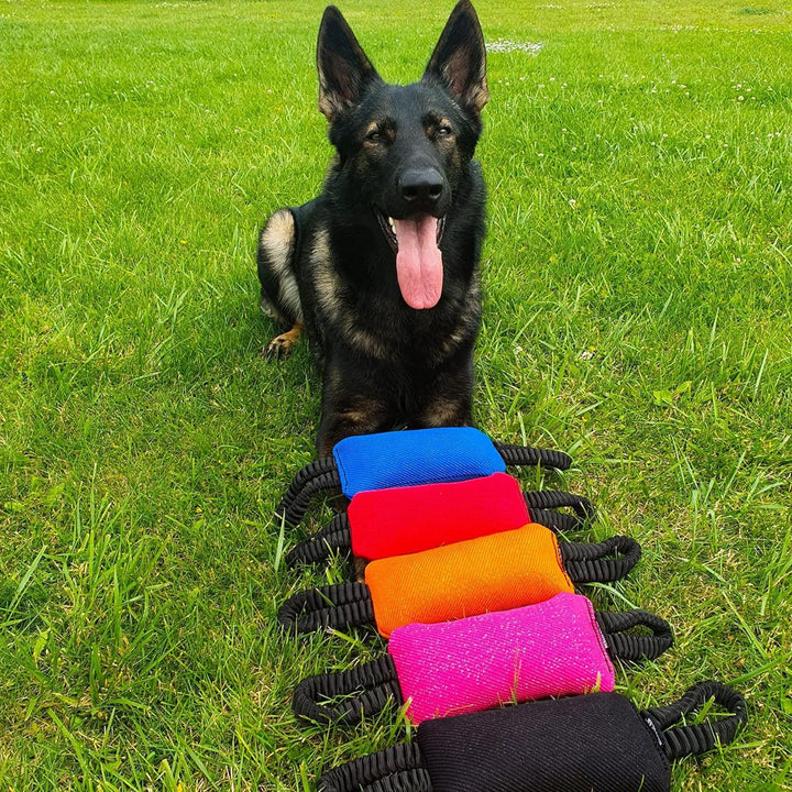 Dingo Gear Beisswurst mit 2 Griff Bungee Breite 8 cm Länge 22 cm aus Nylcot für Hundetraining IGP IP