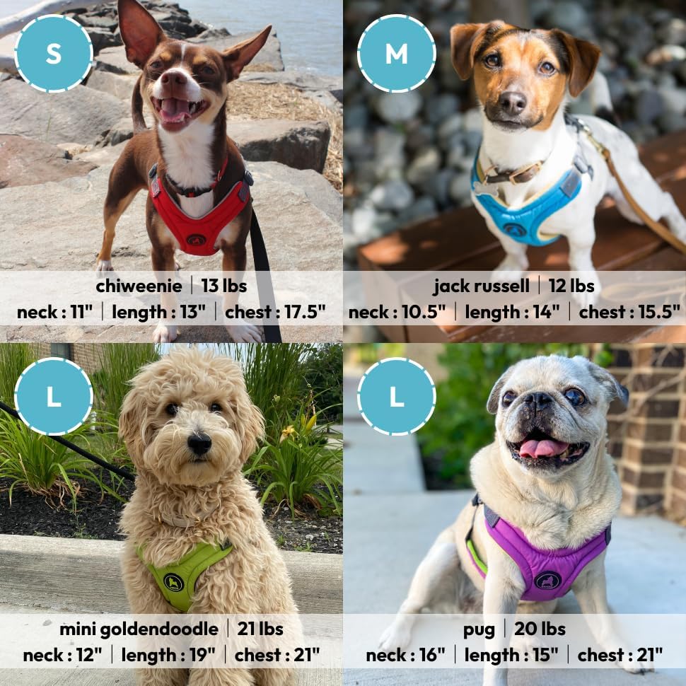 Gooby Escape Free Hundegeschirr aus Memory-Schaum, Grösse M (38,1–52,1 cm), Blau blau Medium Chest (