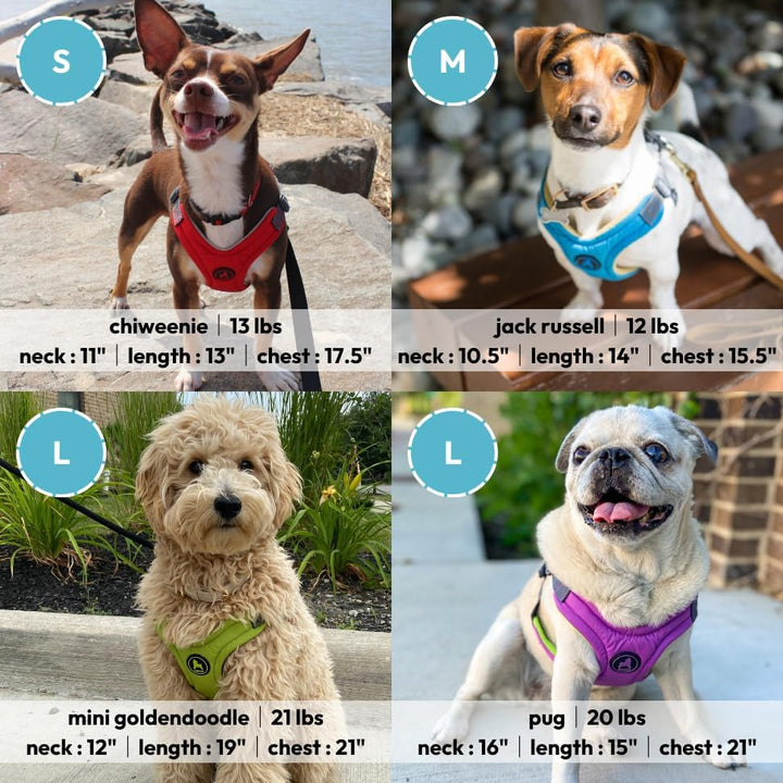 Gooby Escape Free Hundegeschirr aus Memory-Schaum, Grösse M (38,1–52,1 cm), Blau blau Medium Chest (