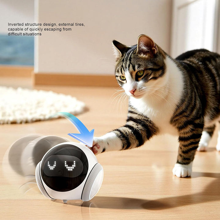 Haustierkamera-Roboter, 1080P Bewegliche Haustierkamera mit Rädern, Akku Aufladen, Telefon-App-Fernb