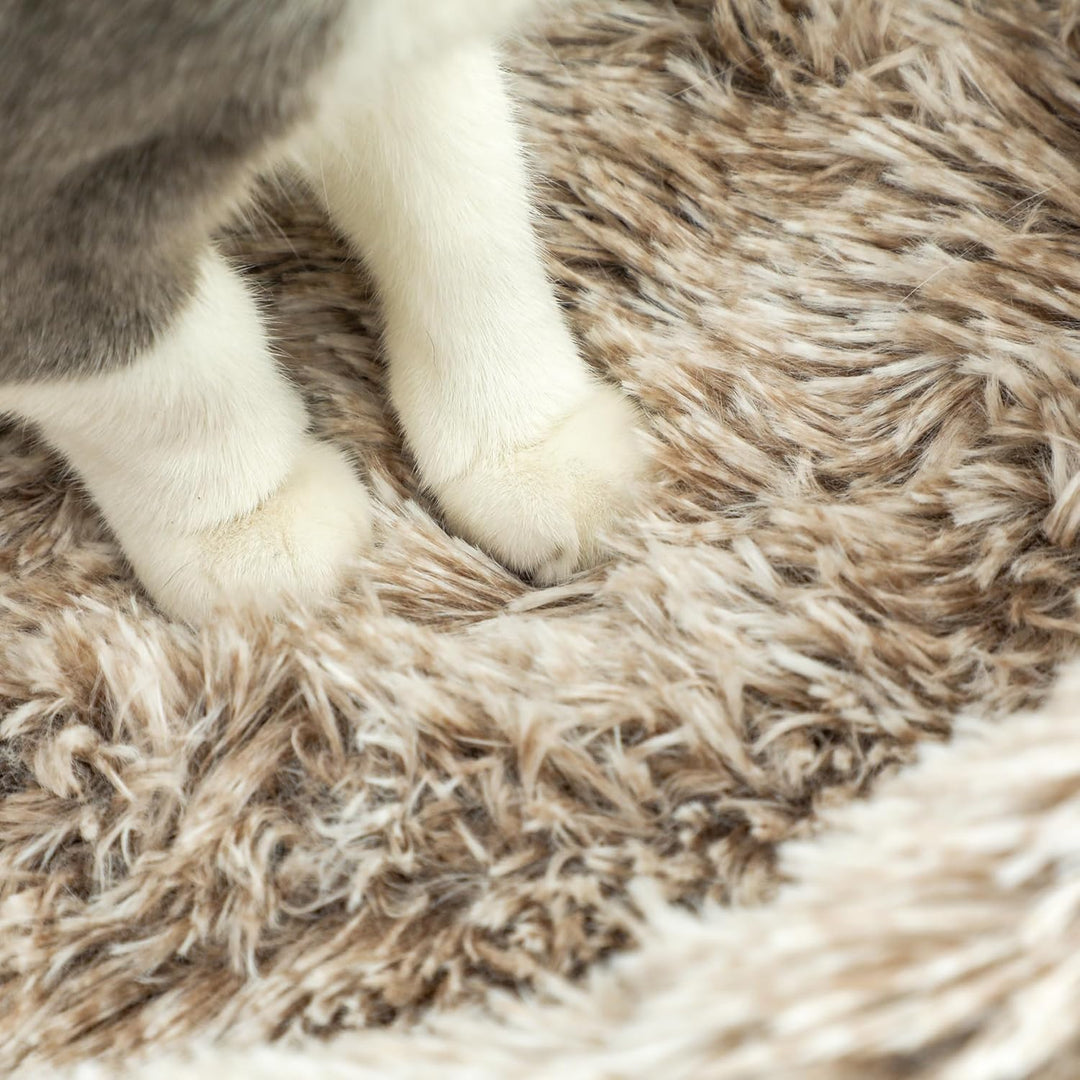 PawHut Kratzbaum 87 cm hoch Katzenbaum mit Bett, dick Stamm, Katzenkratzbaum mit Sisal-Kratzsäulen,