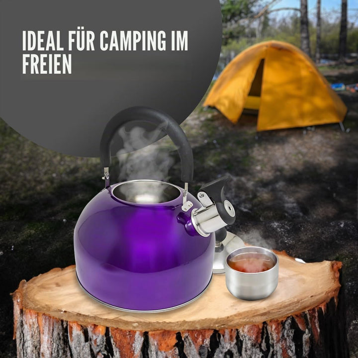 Leichter Wasserkessel mit Pfeiffe aus rostfreiem Edelstahl, Wasserkocher für Camping und Angeln, 2,5