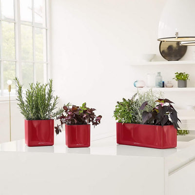 LECHUZA CUBE Glossy Triple scarlet rot highgloss 13672 40x14x13,5 cm Scarlet Rot Highgloss, 40x14x13