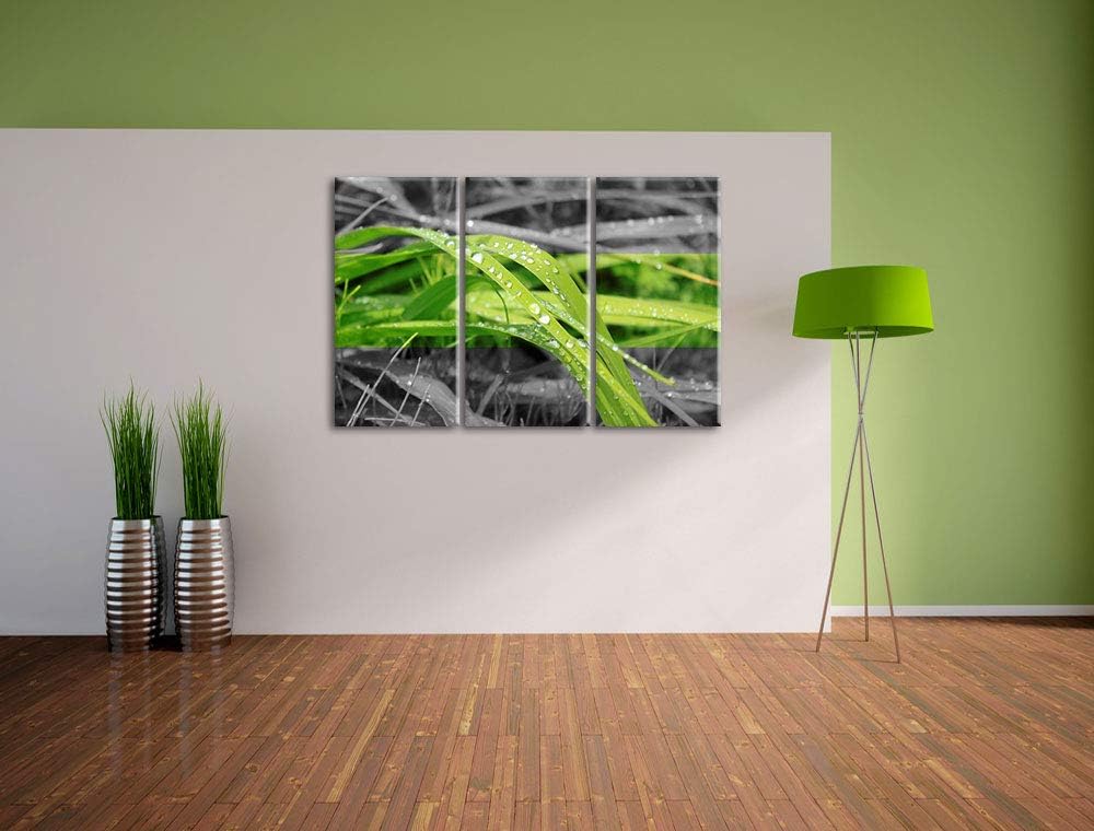 Grashalme im Morgentau schwarz/weiss 3-Teiler Leinwandbild 120x80 Bild auf Leinwand, XXL riesige Bil