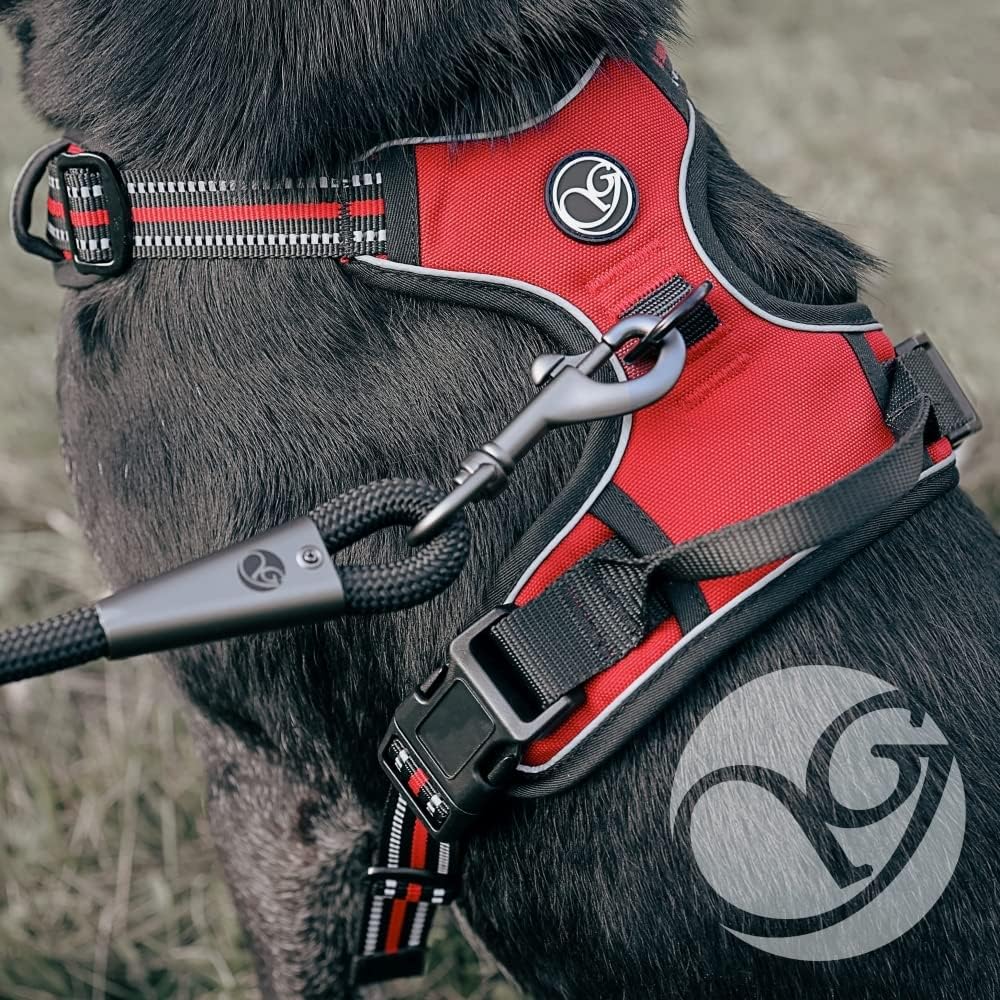 Hunde-Geschirr für kleine und grosse Hunde, Brustgeschirr gepolstert und reflektierend, verstellbar