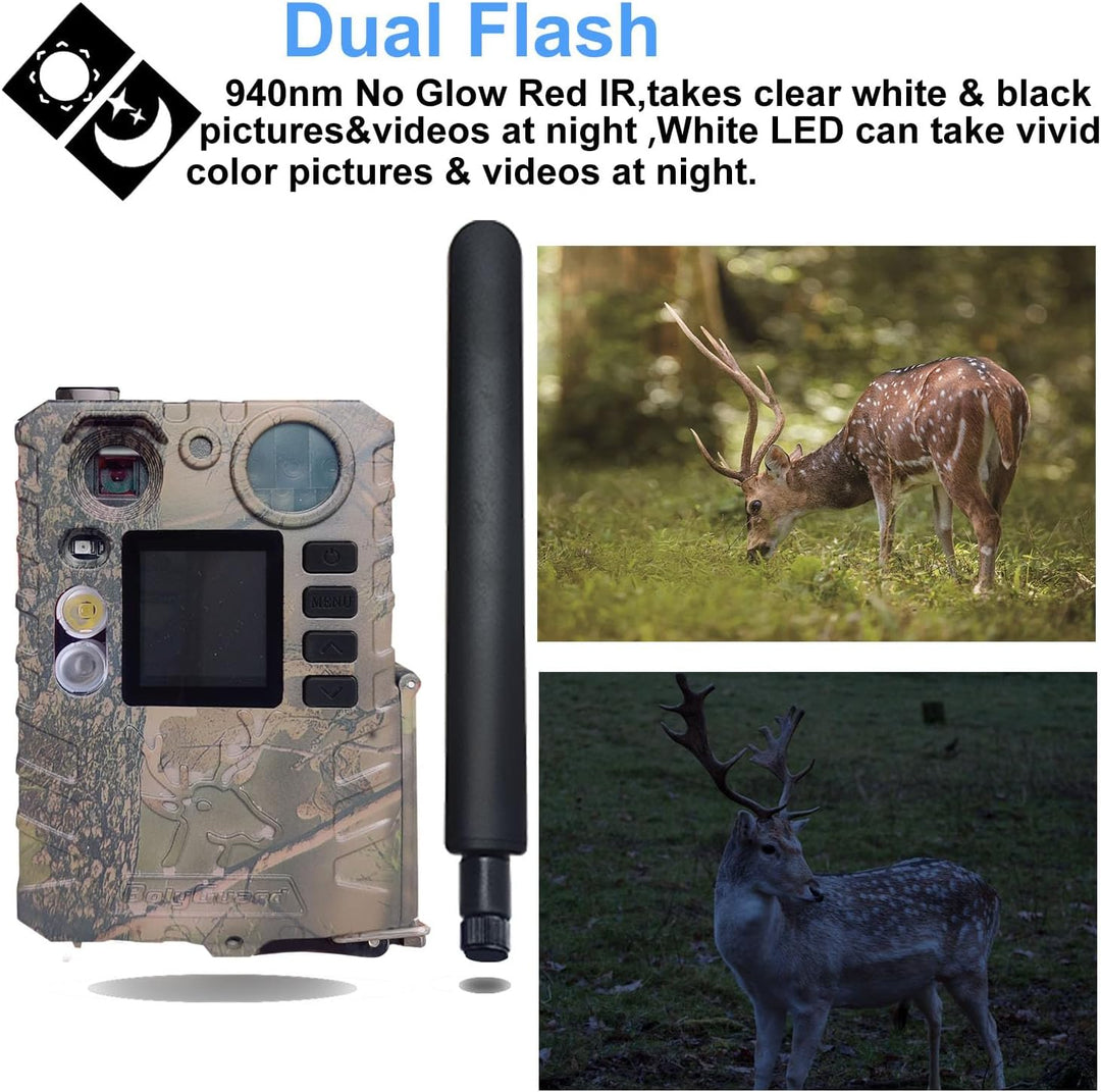 BolyGuard 4G Trail Cam 36MP 2,7K Wildkamera Wildkameras mit Nachtsicht, bewegungsaktiviert, wasserdi