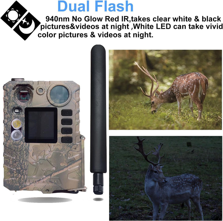 BolyGuard 4G Trail Cam 36MP 2,7K Wildkamera Wildkameras mit Nachtsicht, bewegungsaktiviert, wasserdi